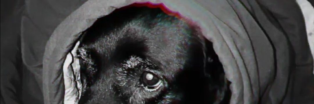 REDS_IC's profile banner image