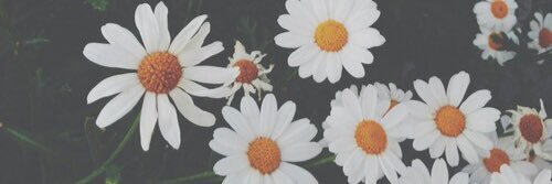 SummerDehm's profile banner image
