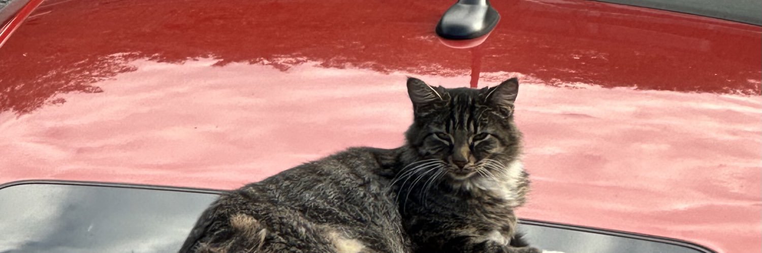 🎈Penny🎈Don’t🎈Play🎈That🎈 banner