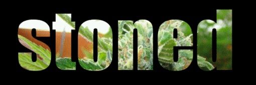 STONERFOLLOWBAX's profile banner image