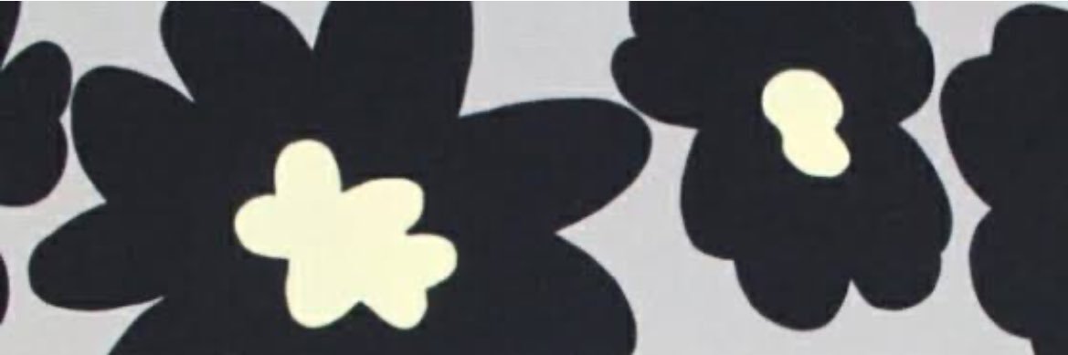 konayukifulu's profile banner image