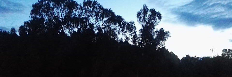 SerHumanoVLJ's profile banner image