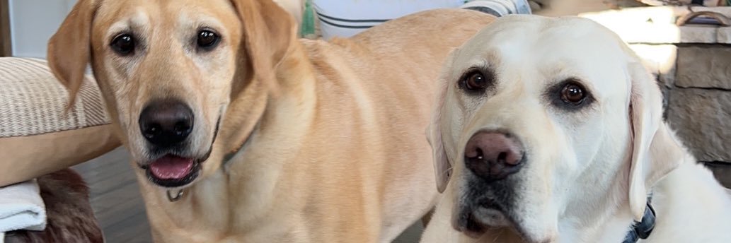 BmanTypes's profile banner image