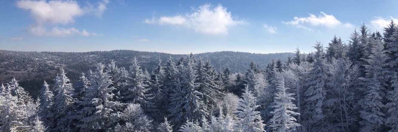 clayg0ff's profile banner image