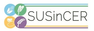 SusincerProject's profile banner image