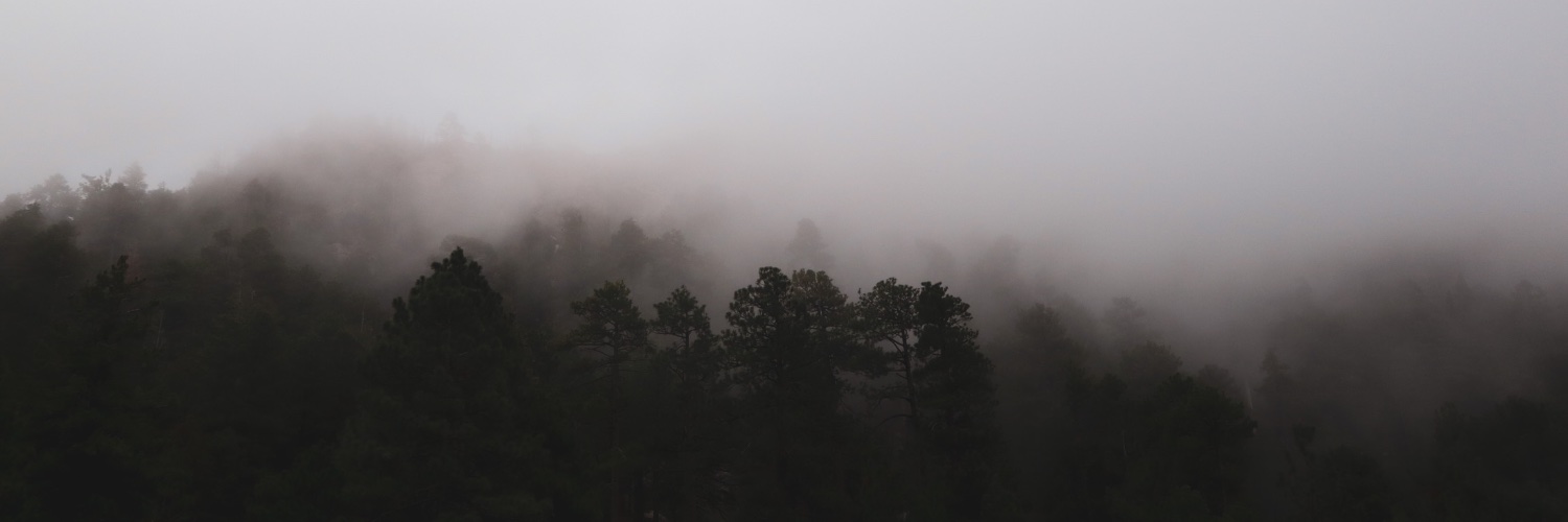 lexad17's profile banner image