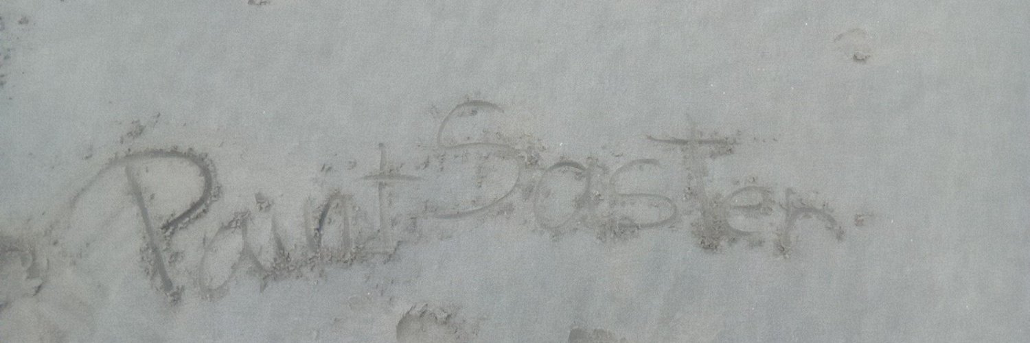 Paintsaster banner