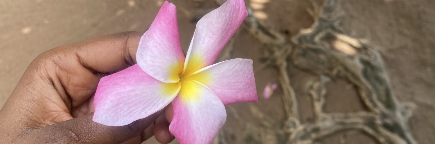Meso 🌸 banner