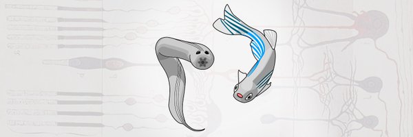 sci_bastian Profile Banner