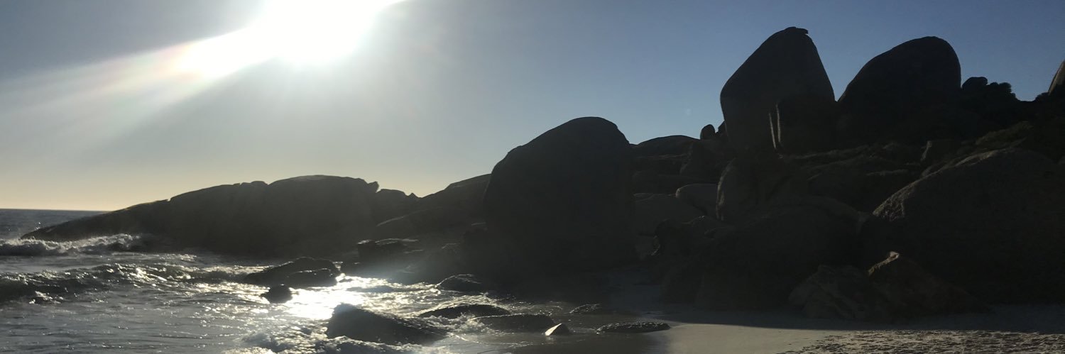 Alexis K banner