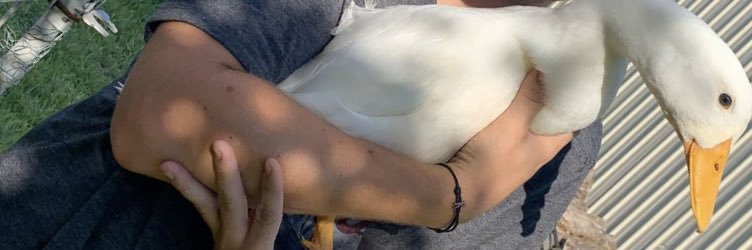 gweaver86's profile banner image