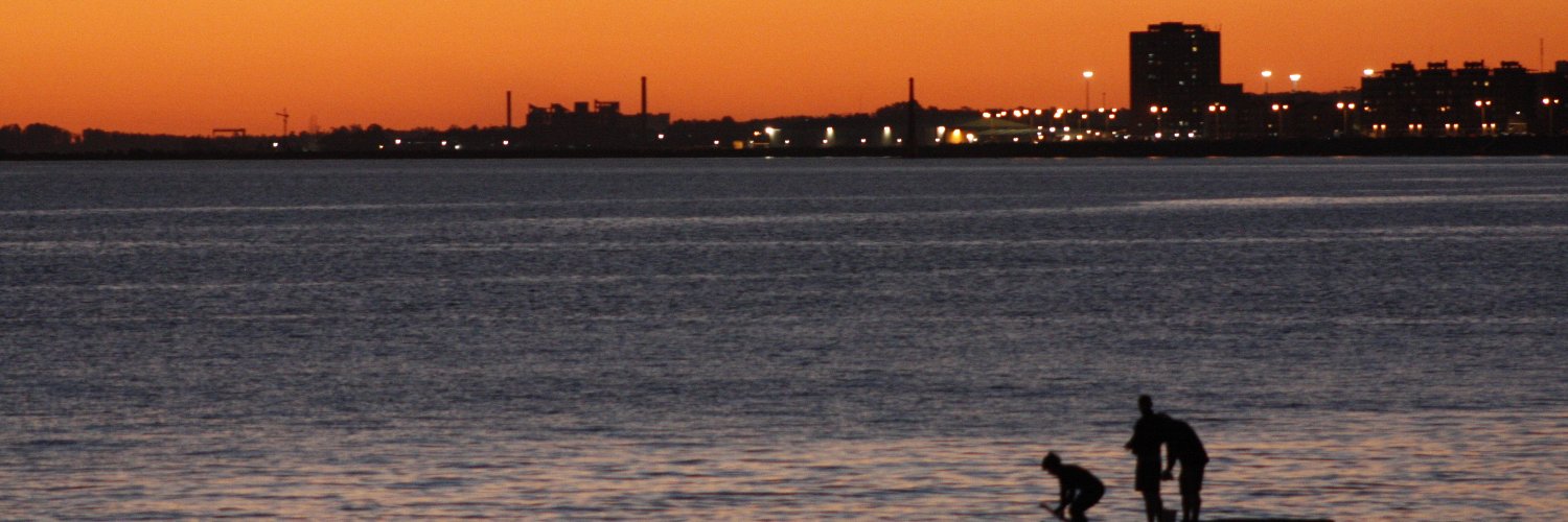 Clide Marchelli Chim banner