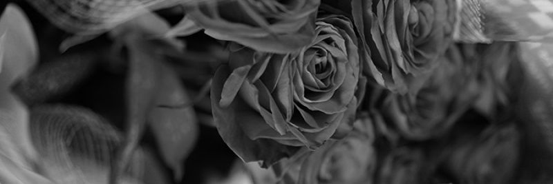 AMU81933157's profile banner image