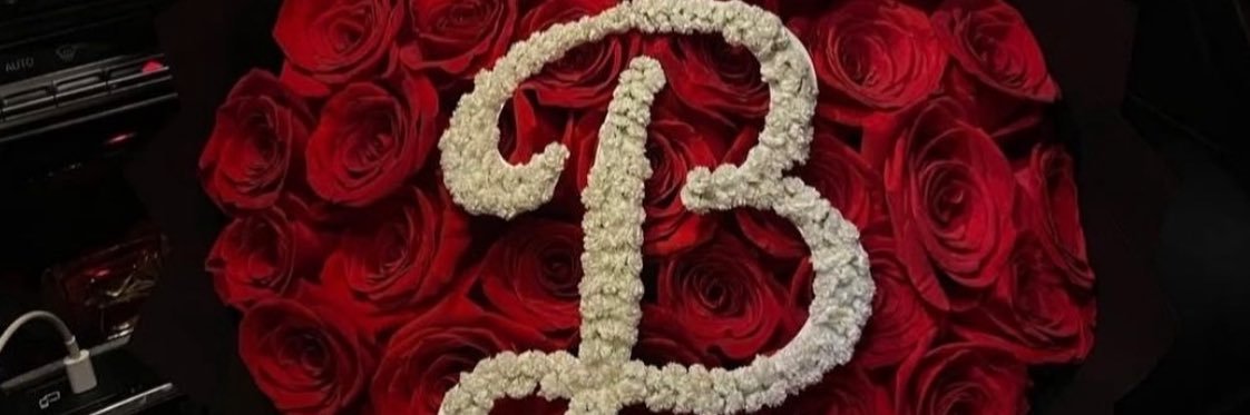 arruda_brenna's profile banner image