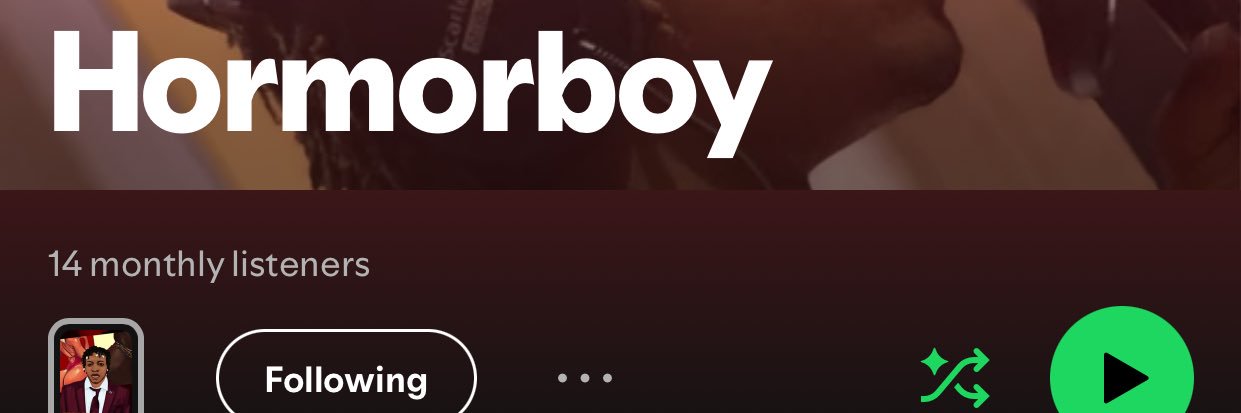 Hormorboy's banner