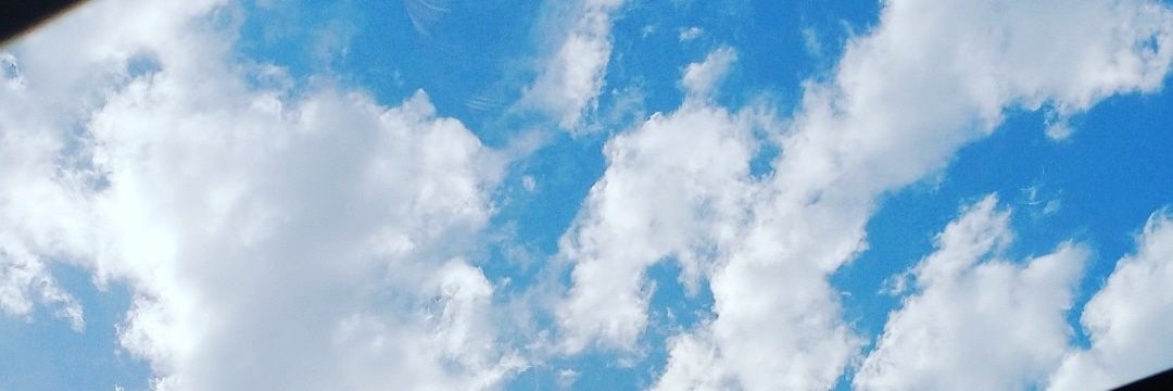 fridavgr's profile banner image