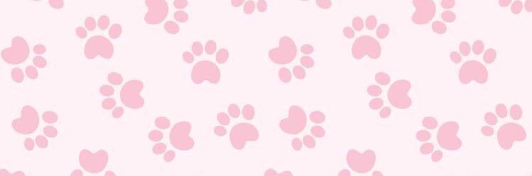 shy ✨ banner