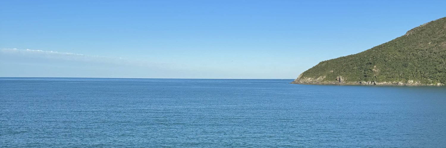 erikalfernandes's profile banner image