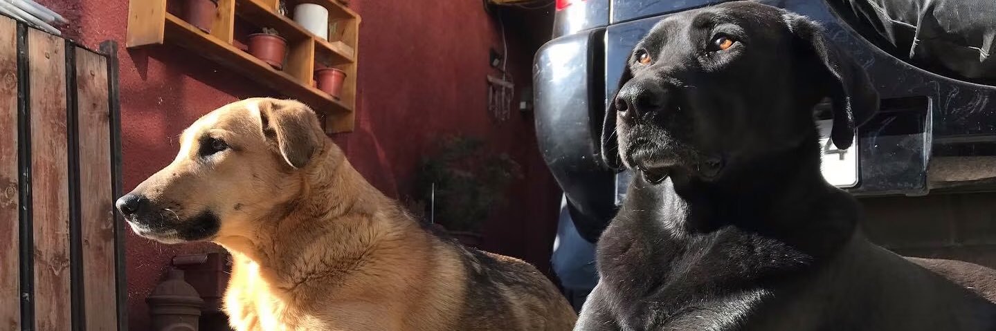 jcoldeira's profile banner image