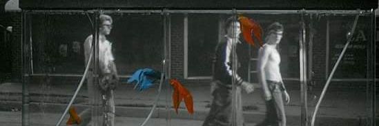 F. I. Stanislawowski banner