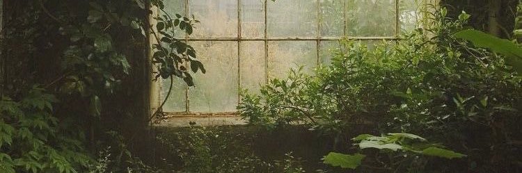 SOMI1723's profile banner image