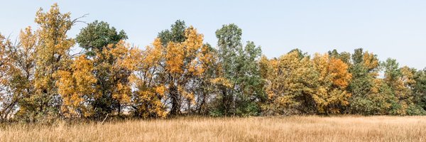 ArchibaldCropDr Profile Banner
