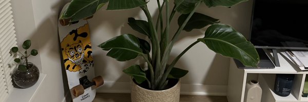 joeywstoll Profile Banner