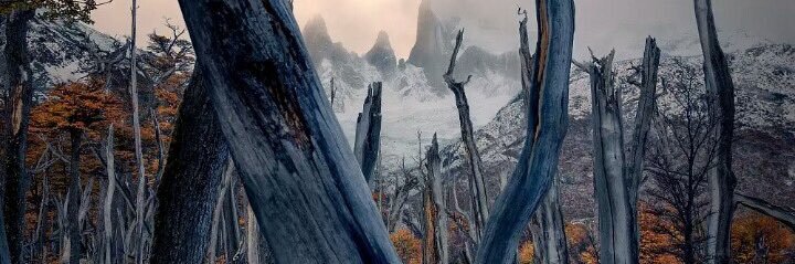 dfernau's profile banner image
