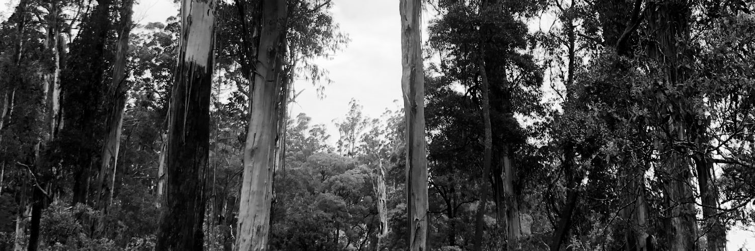 nazminazman's profile banner image