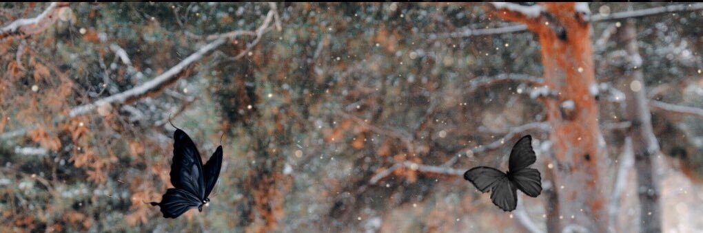 sierrakellym's profile banner image