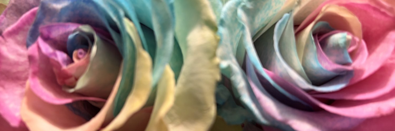 Simply Southern Blonde banner