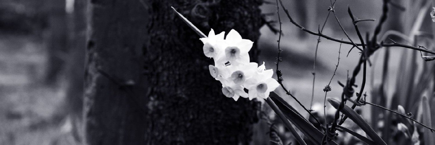 arunshams's profile banner image