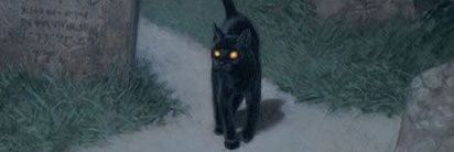 DOISUMSEIS's profile banner image