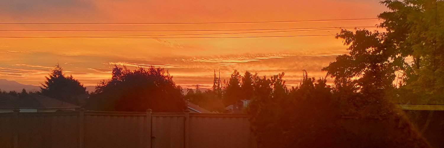 RianonFTW's profile banner image