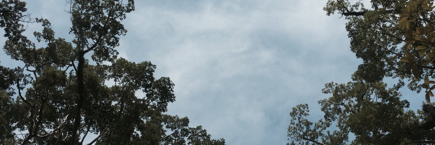 besidemars's profile banner image
