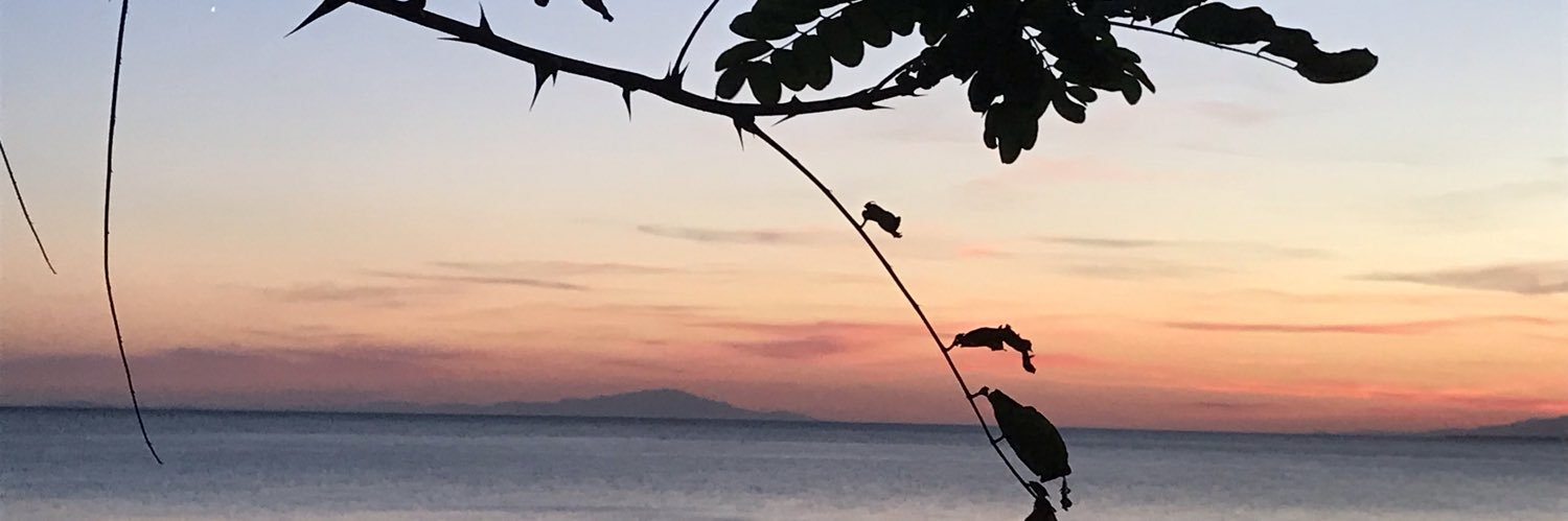 NursaahCelik's profile banner image