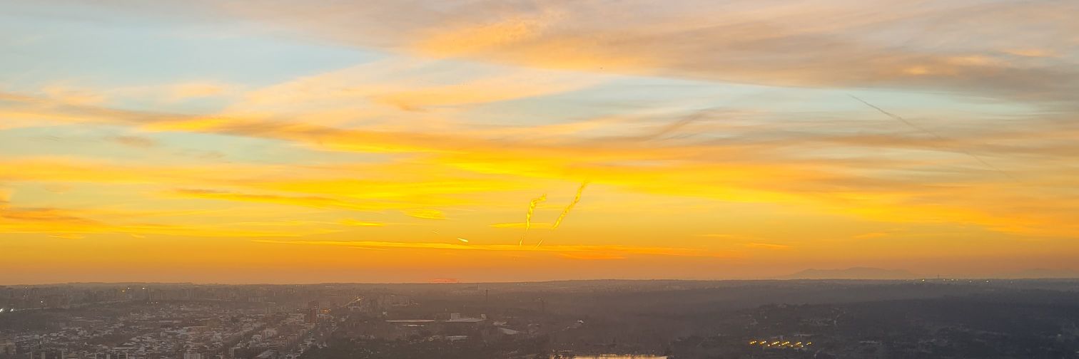 Ana Paula Seppi banner