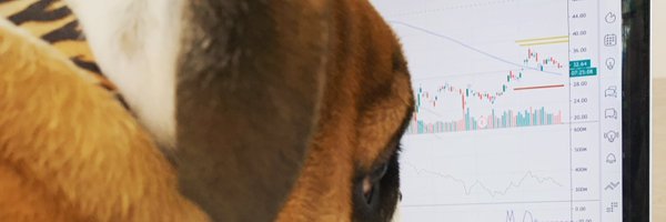 gui_zanin_ Profile Banner