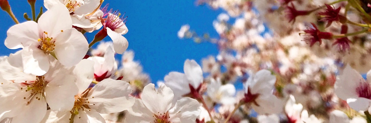 tognap's profile banner image