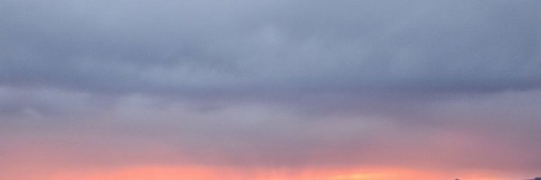 davidwilk Profile Banner
