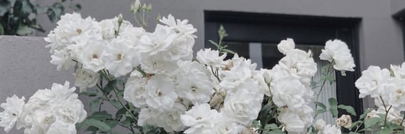 __nnabielaa__'s profile banner image