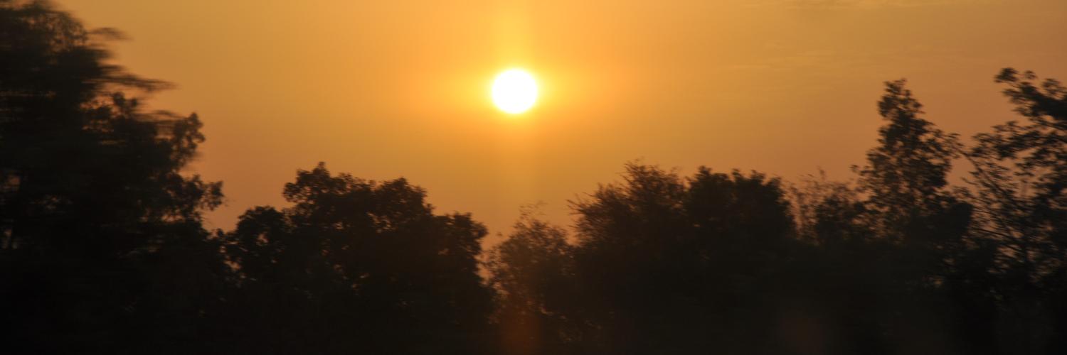 madiha272's profile banner image