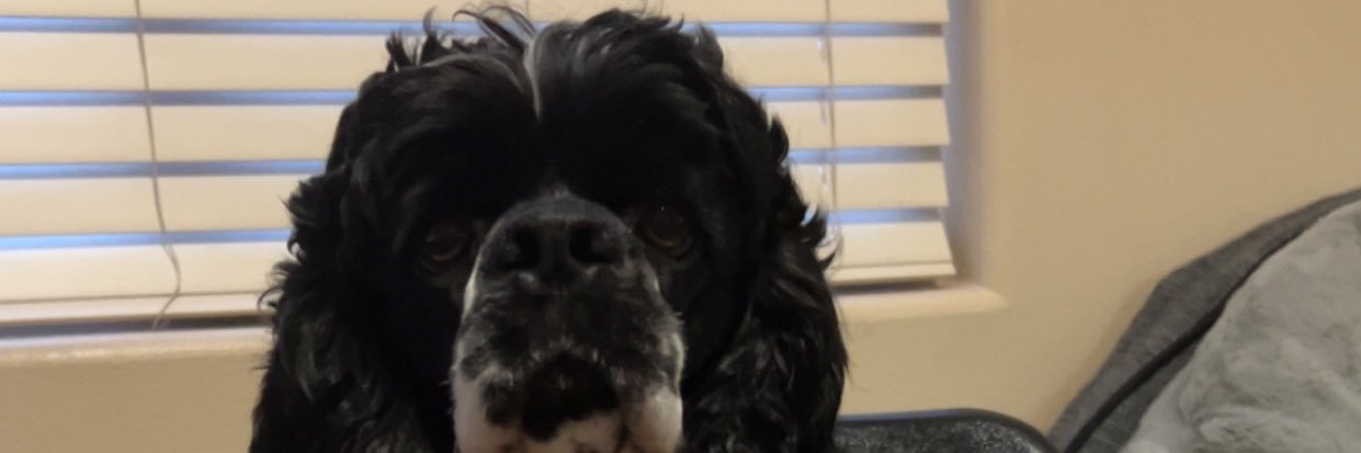 S🅿️unt ♛ banner