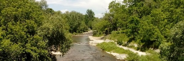 ProfitsForLife Profile Banner