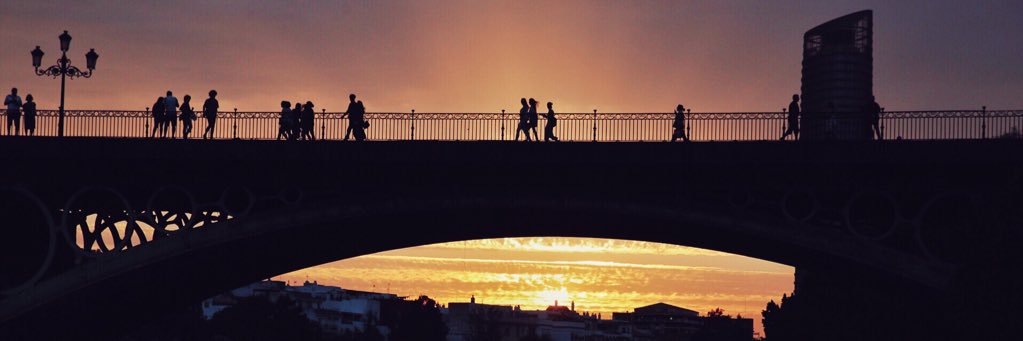 fran_grimaldi's profile banner image