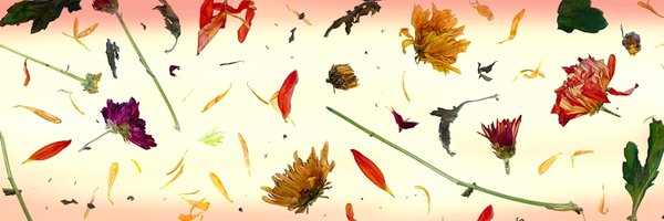 leastfavorite_ Profile Banner