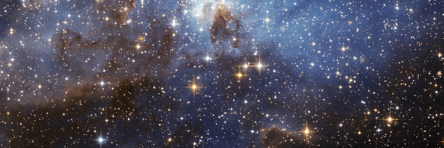 Helge Schnack banner