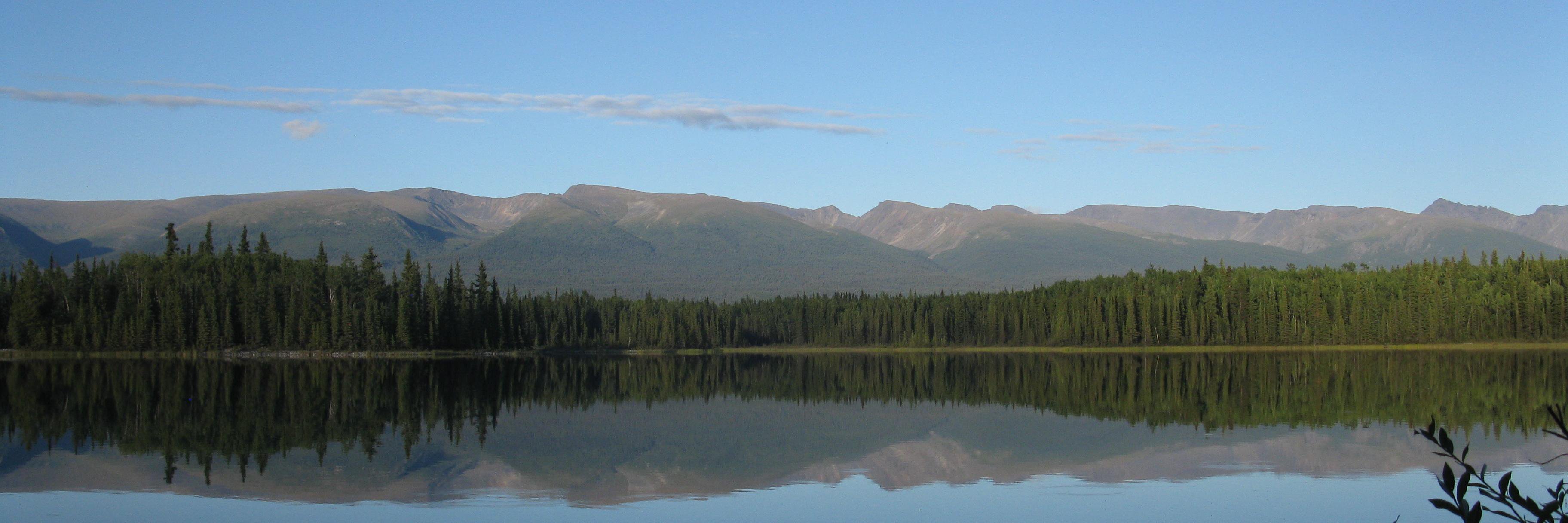 Proud Woke Left Radical with No Fucks Left To Give banner