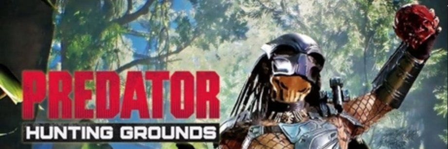 Quaintum_Nation banner