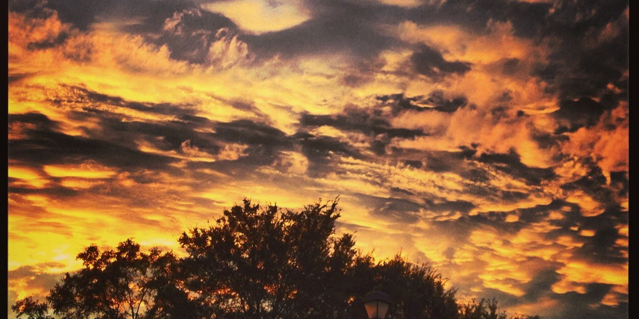 Nell Thomas Clemons banner